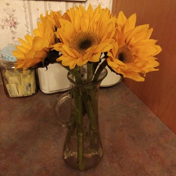 Meet your Posher, Kayla - Picture 1 of 1